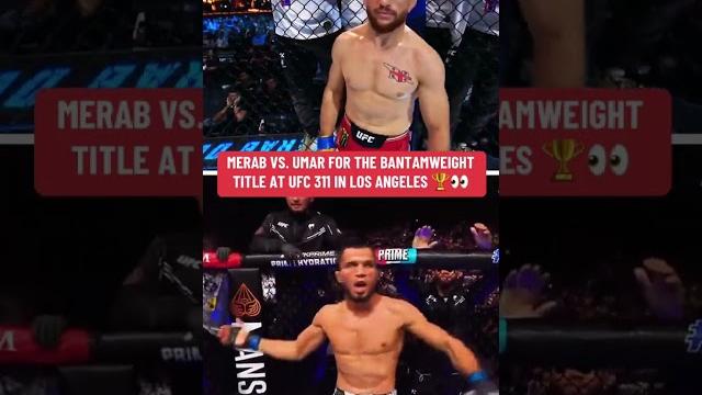 Merab vs. umar for the bantamweight belt #ufc311 Merab vs. umar for the bantamweight belt #ufc311