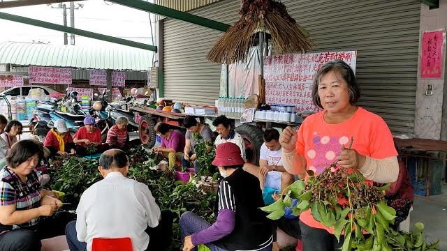 201113 林素妃自然青草園 青草研習速成班 第二課/講解茄苳子的應用及其食用溫補養生的製作方法. 201113 林素妃自然青草園 青草研習速成班 第二課/講解茄苳子的應用及其食用溫補養生的製作方法.