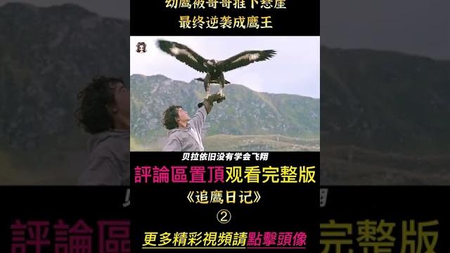 《追鷹日記》shorts 2/3 #shorts #電影解說 #貂蟬撩電影 #劇情 《追鷹日記》shorts 2/3 #shorts #電影解說 #貂蟬撩電影 #劇情