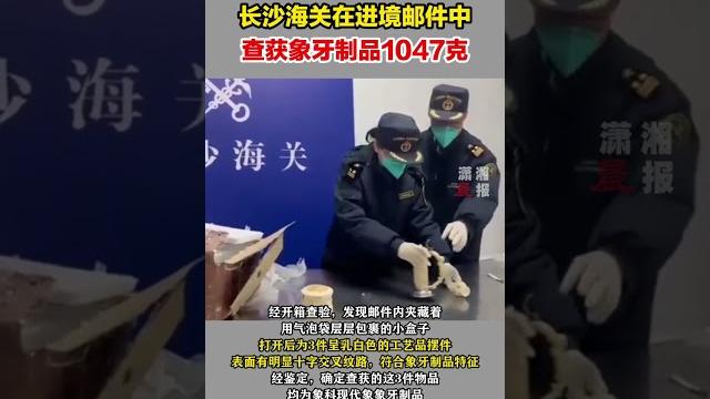 Changsha customs seized 1,047g of ivory products, 3 pieces of milky white handicraft decorations Changsha customs seized 1,047g of ivory products, 3 pieces of milky white handicraft decorations