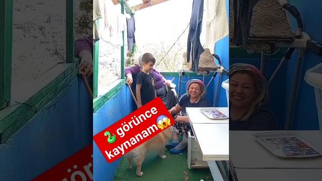 Görünce kaynanam şoka gi̇rdi̇ Görünce kaynanam şoka gi̇rdi̇