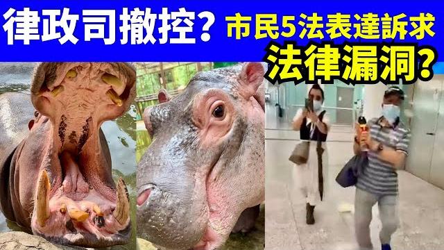 何伯噴殺蟲水事件!點樣表達律政司嚴辦訴求?全港市民出5大招揭秘!smart travel《城市熱話》 #華嫂傳奇 #翁靜晶何志華尋妻 #何伯被捕 #何伯精神報告 #何伯被捕噴殺蟲水施襲 #何太離婚 何伯噴殺蟲水事件!點樣表達律政司嚴辦訴求?全港市民出5大招揭秘!smart travel《城市熱話》 #華嫂傳奇 #翁靜晶何志華尋妻 #何伯被捕 #何伯精神報告 #何伯被捕噴殺蟲水施襲 #何太離婚