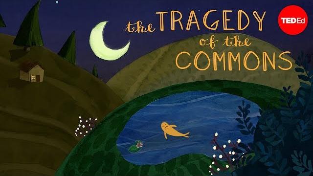 What is the tragedy of the commons? - nicholas amendolare What is the tragedy of the commons? - nicholas amendolare