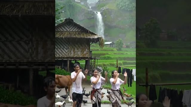 Wanita cantik menari saat hujan deras #shortvideo #shorts #short #rainsoundsforsleeping #rain Wanita cantik menari saat hujan deras #shortvideo #shorts #short #rainsoundsforsleeping #rain