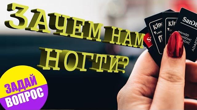 Зачем нам ногти? задай вопрос Зачем нам ногти? задай вопрос