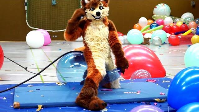 Gorsh gets his paws on even more balloons Gorsh gets his paws on even more balloons