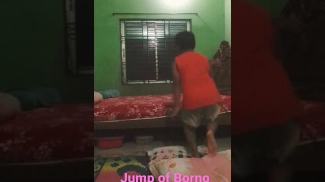 Borno's amazing jump on pillow Borno's amazing jump on pillow