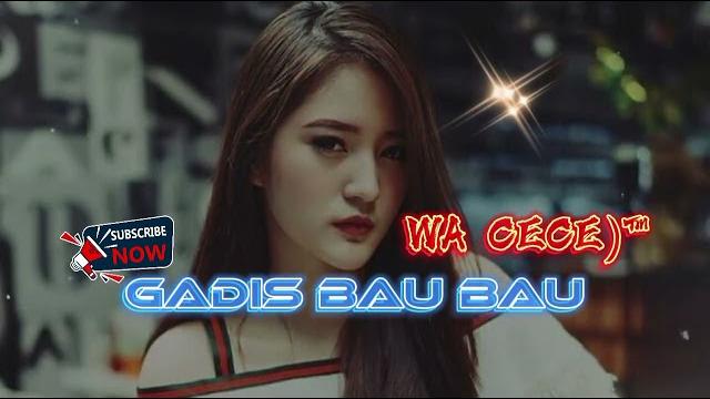 Lagu joget || gadis bau-bau cover remix 2k25 Lagu joget || gadis bau-bau cover remix 2k25