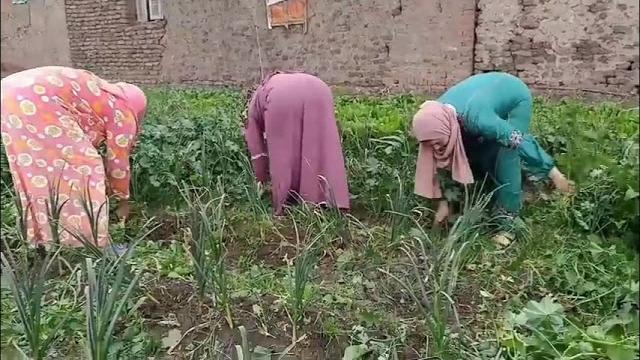 روتيني اليومي نار بدون ملابس داخليه روتيني اليومي نار بدون ملابس داخليه