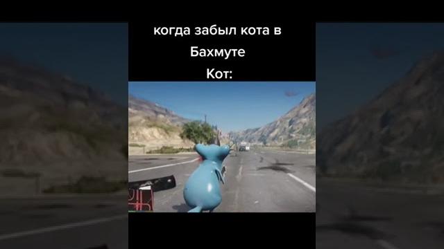 Коты . Коты .