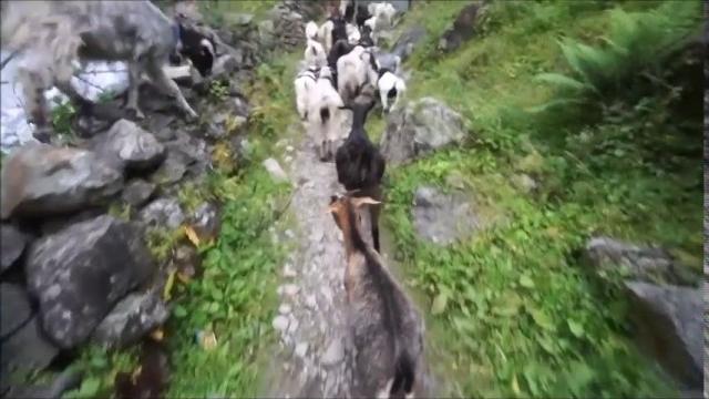 Drone in nepal by ryan purvis Drone in nepal by ryan purvis