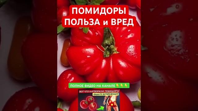 Польза и вред помидоров Польза и вред помидоров