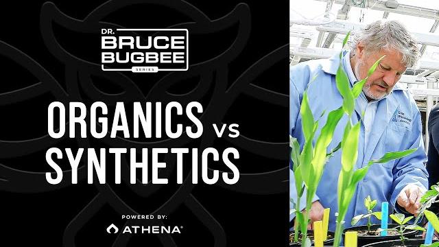Bruce bugbee series – organics vs. synthetics Bruce bugbee series – organics vs. synthetics