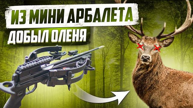 Самый лучший и мощный арбалет для охоты на крупного зверя! doom mini. на что он способен? Самый лучший и мощный арбалет для охоты на крупного зверя! doom mini. на что он способен?