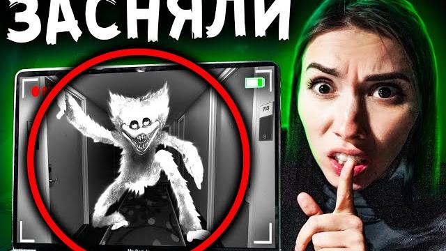 Хагги вагги напал ! скрытая камера сняла хаги ваги в реальной жизни в лас вегасе дом кадиллак сша Хагги вагги напал ! скрытая камера сняла хаги ваги в реальной жизни в лас вегасе дом кадиллак сша