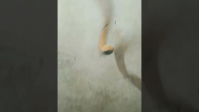 Ngentot angjin bangsat Ngentot angjin bangsat