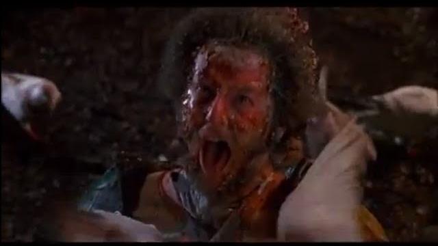 Marv & harry - pidgeon attack (home alone 2) hd Marv & harry - pidgeon attack (home alone 2) hd