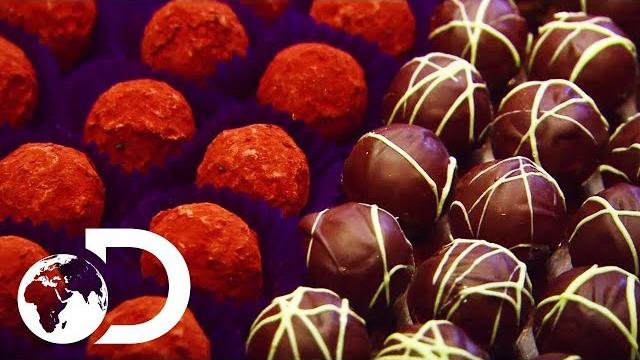 The whole process of making chocolate | how do they do it? The whole process of making chocolate | how do they do it?