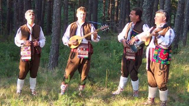 Корова - мустафа стадо си пасе Корова - мустафа стадо си пасе