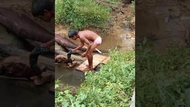 Mandi telanjang#shorts# Mandi telanjang#shorts#