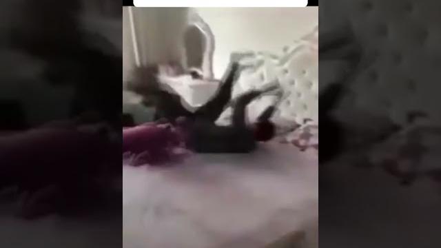 Утро в общаге - мем #мемы #мем #общага #таракан #meme #memes #cockroach #beatboxmemes #beatbox Утро в общаге - мем #мемы #мем #общага #таракан #meme #memes #cockroach #beatboxmemes #beatbox