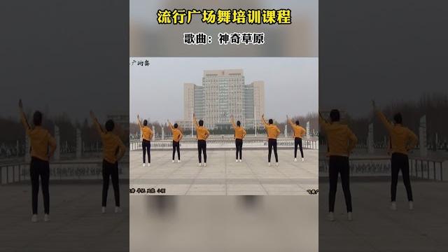 广场舞《神奇草原》精选片段,简单易学,提升气质(舞动蔷薇) 广场舞《神奇草原》精选片段,简单易学,提升气质(舞动蔷薇)