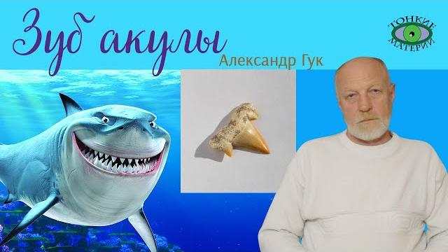 Зуб акулы. энергия камней. александр гук Зуб акулы. энергия камней. александр гук