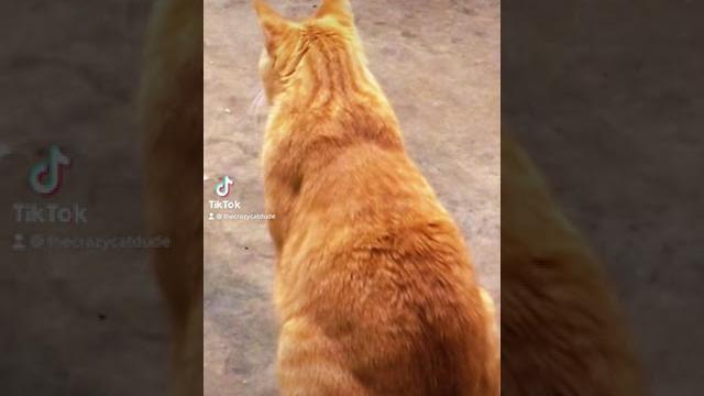 The biggest pussy The biggest pussy