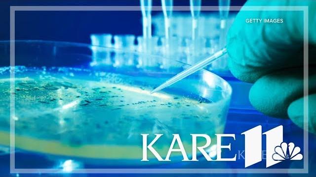 So what exactly is e.coli? So what exactly is e.coli?