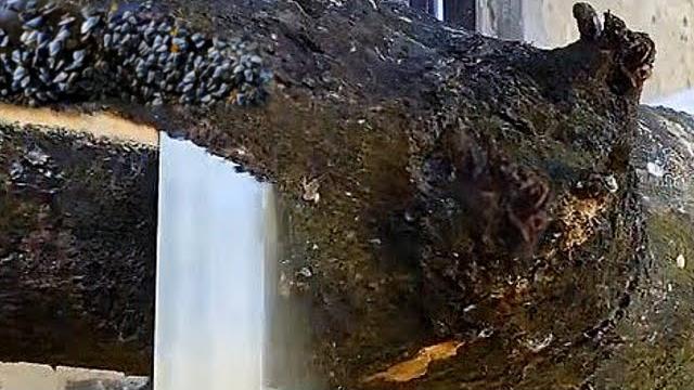 The rotten old sawmill smelled of corpses The rotten old sawmill smelled of corpses