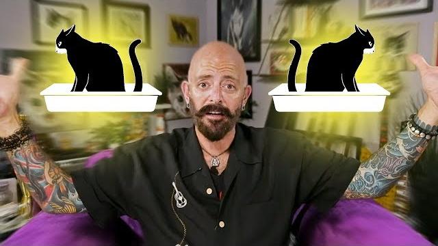 My cat pees everywhere in the house | litter box 101 My cat pees everywhere in the house | litter box 101