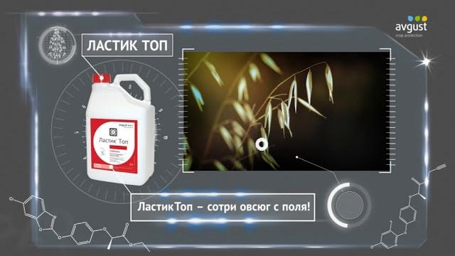 Ластик топ - сотри овсюг с поля! Ластик топ - сотри овсюг с поля!