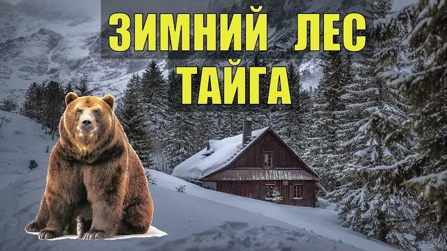 Жизнь в тайге таёжные истории сериал 2025 все серии аудиокнига дом в лесу истории из жизни книги Жизнь в тайге таёжные истории сериал 2025 все серии аудиокнига дом в лесу истории из жизни книги