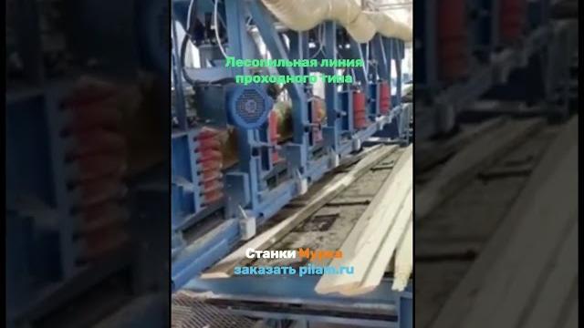 Станки мурка лесопильная линия на основе дисковых станков проходного типа pilam.ru #circular_saw Станки мурка лесопильная линия на основе дисковых станков проходного типа pilam.ru #circular_saw