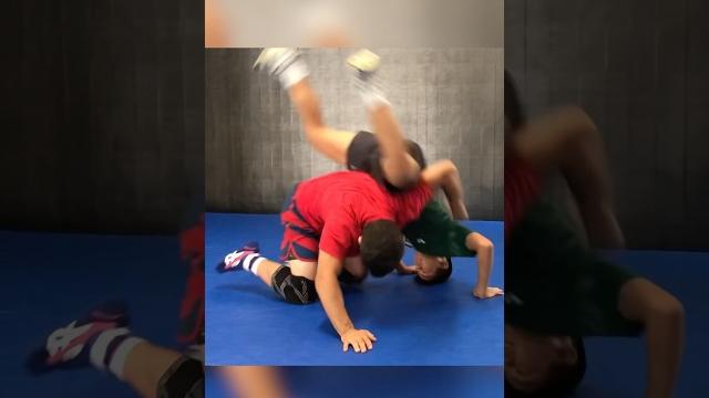 Cartwheel over the dogfight! Cartwheel over the dogfight!