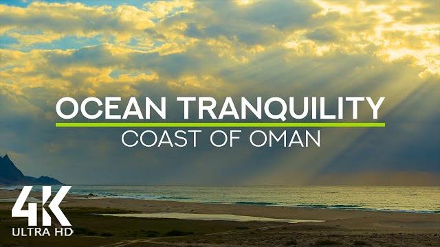 Calming sounds of sea waves & seagulls squawking - 4k sunbeams shining over cloudy seascape of oman Calming sounds of sea waves & seagulls squawking - 4k sunbeams shining over cloudy seascape of oman