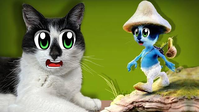 Смешные мемы от подписчиков! малыш шайлушай и мурка кот банан! реакция анука давайка на приколы Смешные мемы от подписчиков! малыш шайлушай и мурка кот банан! реакция анука давайка на приколы