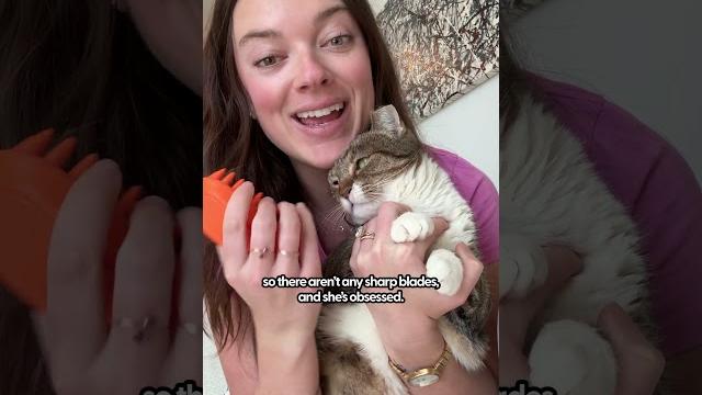 The best change for my cats skin and fur | the pack The best change for my cats skin and fur | the pack