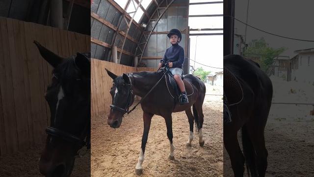 Ваня на флейте, первое занятие учимся управлять. #horse #ксккаспер #оксанановикова #флейта #pony Ваня на флейте, первое занятие учимся управлять. #horse #ксккаспер #оксанановикова #флейта #pony