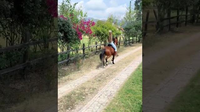 Sarah sophia #escorpiom #humor #colombia #youtube #shorts #trending #tiktok #humor #escorpiom Sarah sophia #escorpiom #humor #colombia #youtube #shorts #trending #tiktok #humor #escorpiom