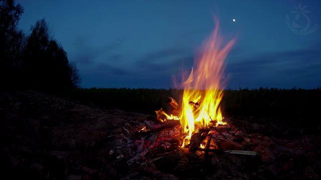 Campfire ambience with night animals such as owls and crickets. made for relaxation & sleep, enjoy Campfire ambience with night animals such as owls and crickets. made for relaxation & sleep, enjoy