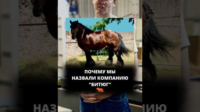 Почему компания названа «битюг»? #производство #зерновозы #полуприцепы #спецтехника #штораборт Почему компания названа «битюг»? #производство #зерновозы #полуприцепы #спецтехника #штораборт