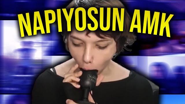 Abaza avcisi öykü owl Abaza avcisi öykü owl