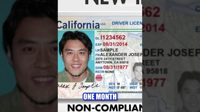 Tsa warns americans about using costco cards to pass security #shorts #foxnews #travel Tsa warns americans about using costco cards to pass security #shorts #foxnews #travel