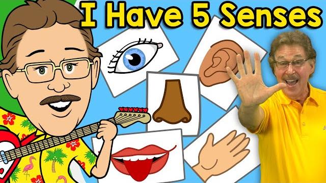 I have five senses jack hartmann senses song I have five senses jack hartmann senses song