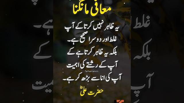 True meaning of apologizing | wisdom of imam ali (ra) #shorts #apologize #imamali #wisdom True meaning of apologizing | wisdom of imam ali (ra) #shorts #apologize #imamali #wisdom