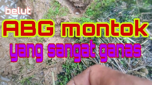Belut abg montok yang ganas Belut abg montok yang ganas