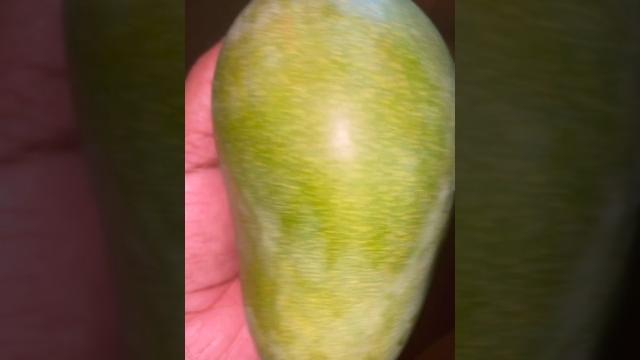 #mango #mango