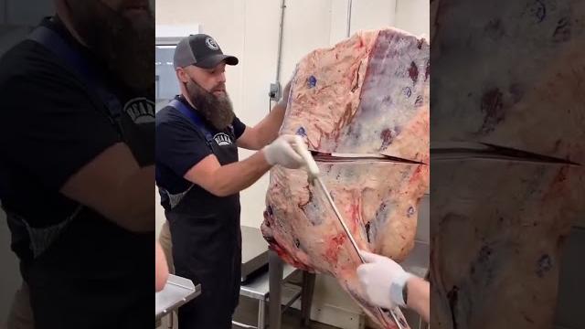 Breaking down a beef forequarter by hand! #shorts Breaking down a beef forequarter by hand! #shorts