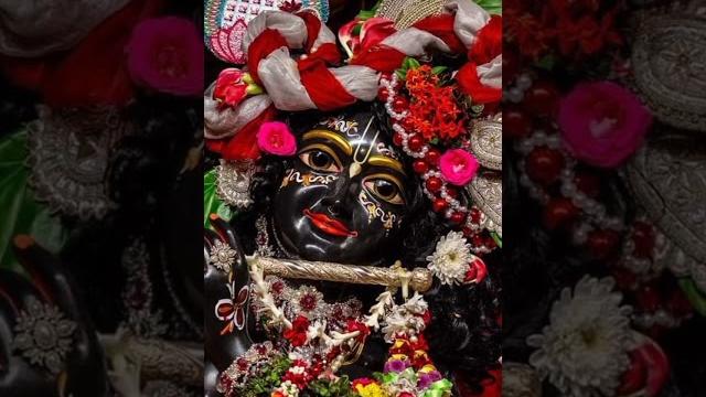 Jay radha madhav kunja bihari/#harekrishna /hare krishna hare krishna krishna krishna hare hare Jay radha madhav kunja bihari/#harekrishna /hare krishna hare krishna krishna krishna hare hare